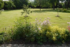 Blick auf den großen Garten