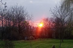 Garten mit Blick auf den Sonnenuntergang